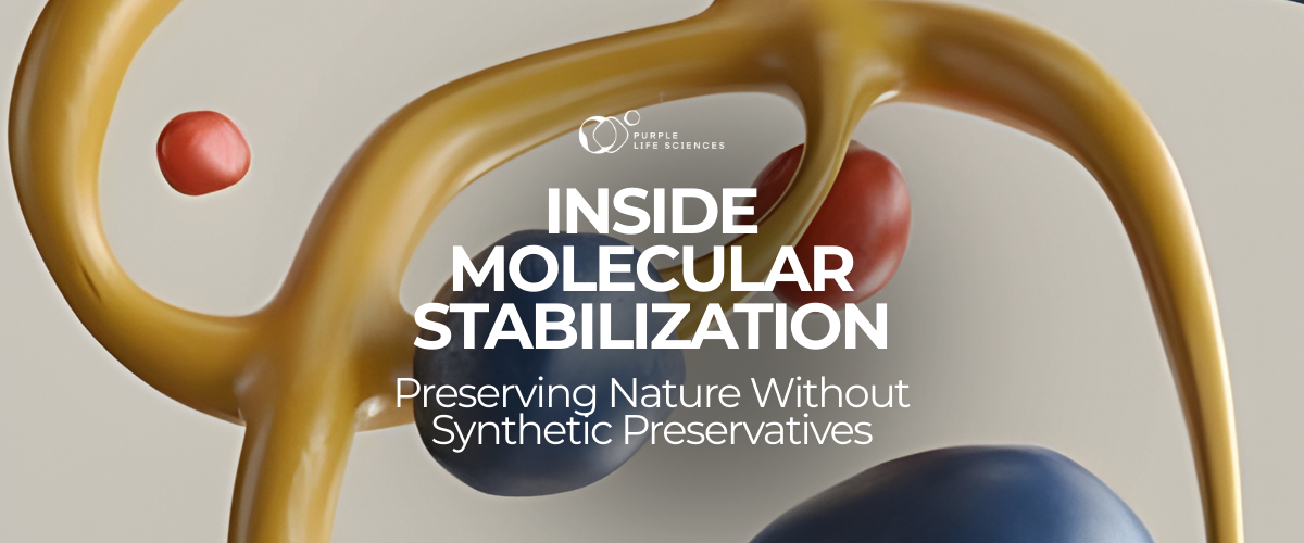 Inside Molecular Stabilization: Preserving Nature Without Synthetic Preservatives
