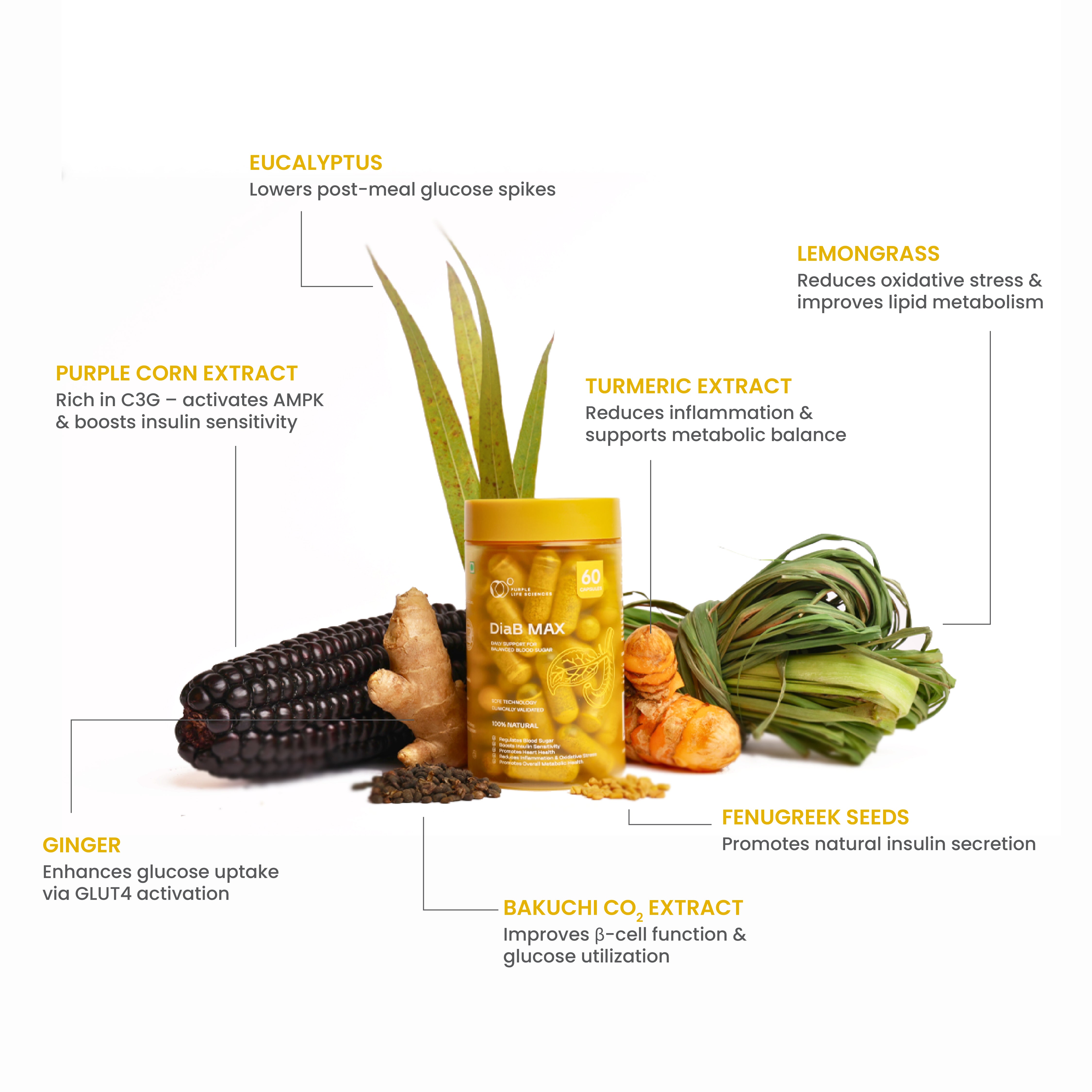 DiaB Max - Natural Blood Sugar Management