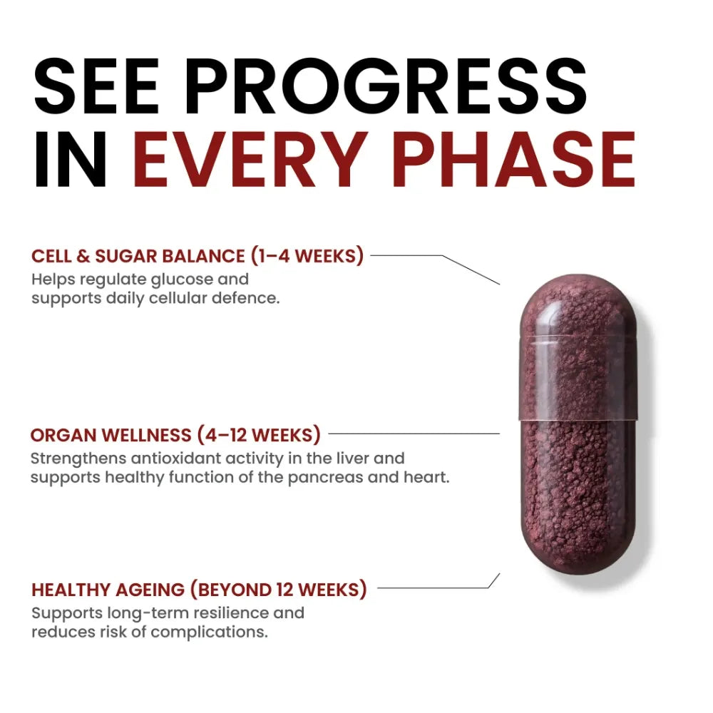 Capsule with text detailing health benefits and phases of use on a white background