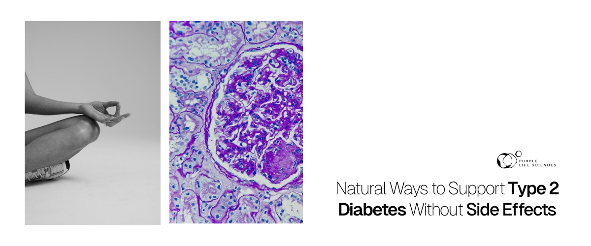 Natural Ways To Support Type 2 Diabetes Without Side Effects