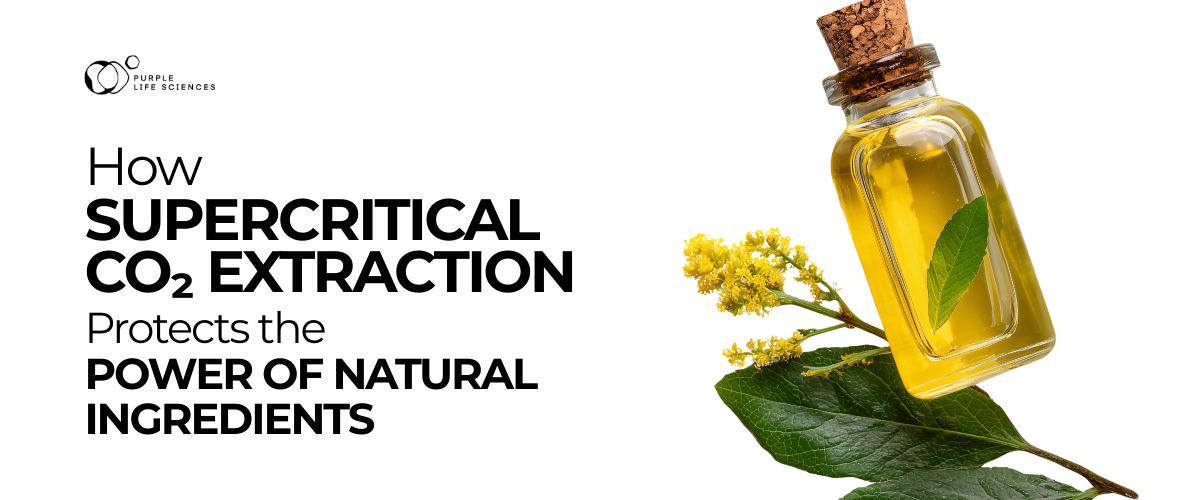 How Supercritical CO₂ Extraction Protects the Power of Natural Ingredients