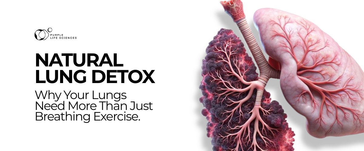 Natural Lung Detox: Why Your Lungs Need More Than Just Breathing Exercises