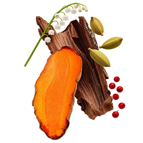 Ayurveda
