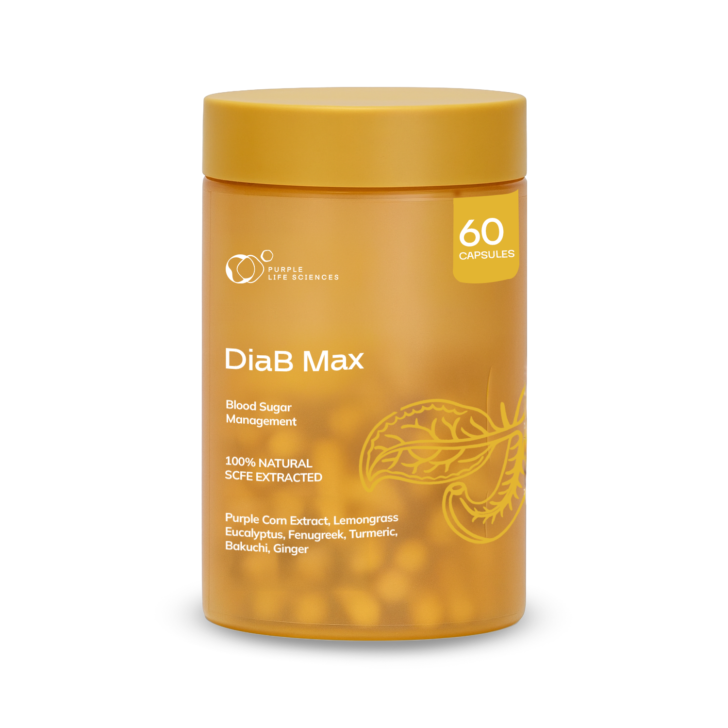 DiaB Max