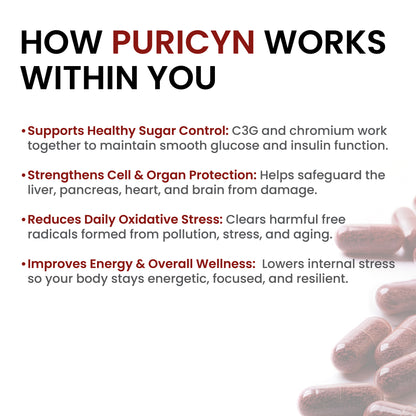 Puricyn -  Antioxidant powered by Purple Corn Anthocyanins