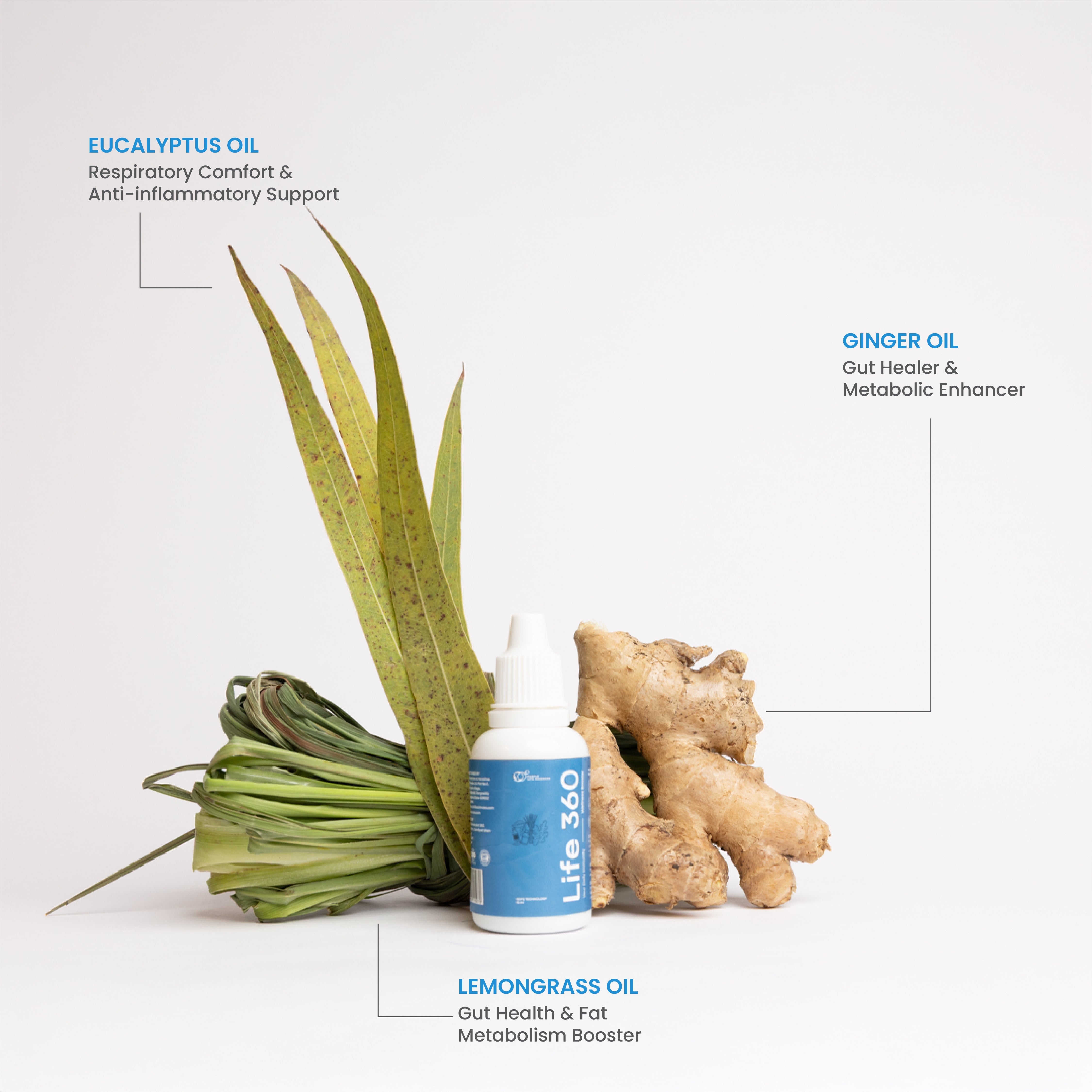 Antioxidant & Anti-Inflammatory Bundle