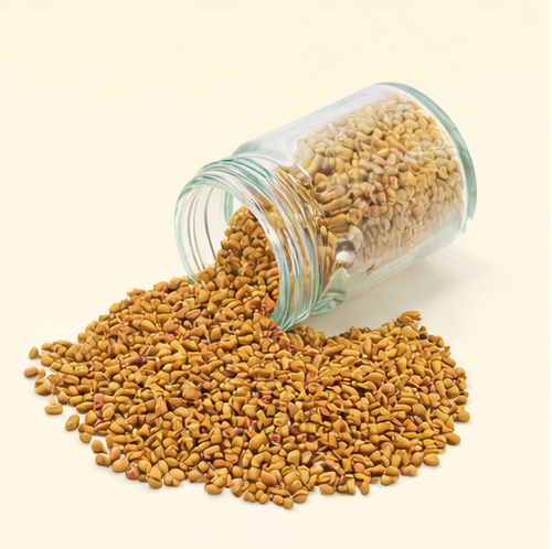 Fenugreek Seeds