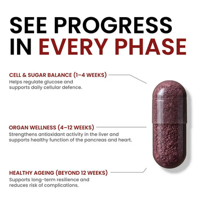 Capsule with text detailing health benefits and phases of use on a white background