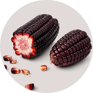 Purple Corn Extract