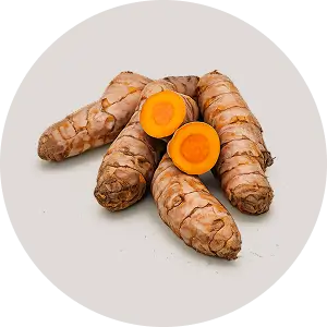 Turmeric Extract