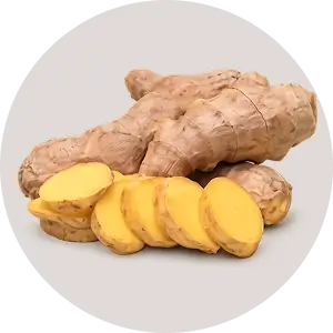 Ginger