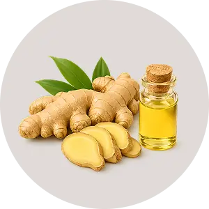 Ginger Oil ( SCFE )