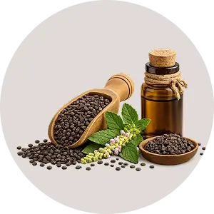 Bakuchi Extract