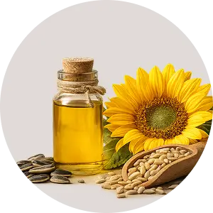 Sunflower Oil