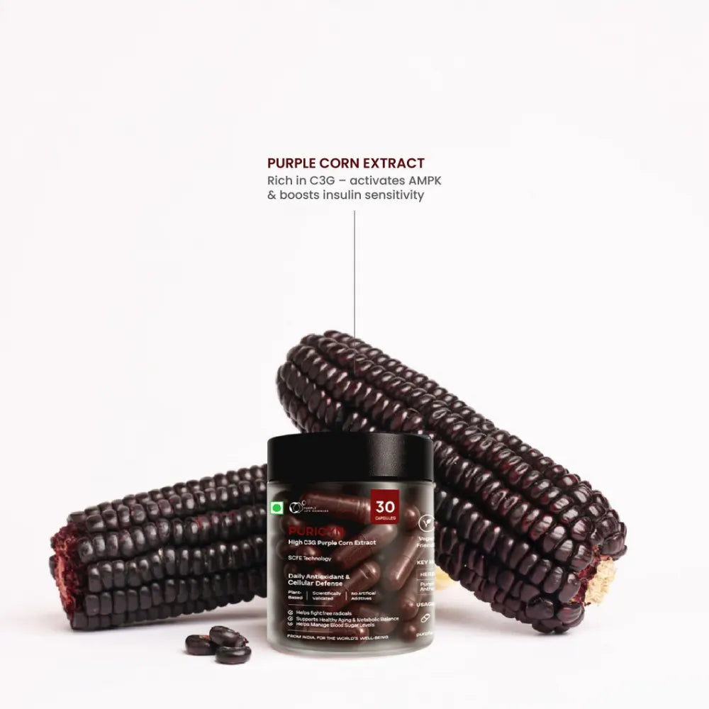 Container of purple corn extract with two ears of purple corn on a white background