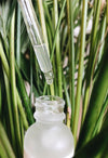 Lemongrass CO2 Extract (Citral)