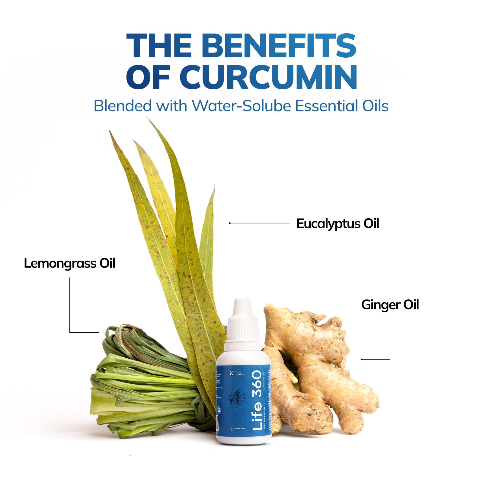 Life 360 - Anytime Wellness & Immunity